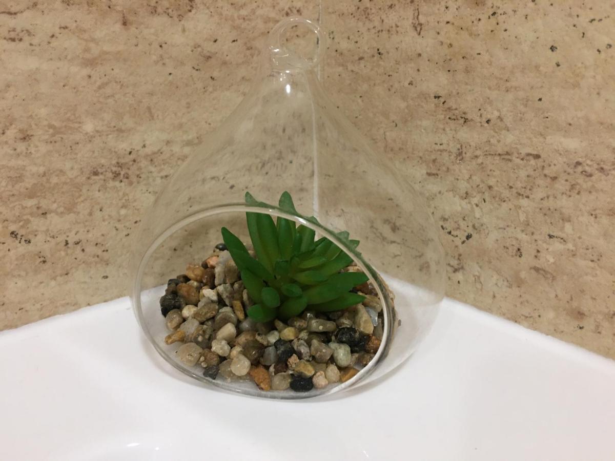 Elegantza Suites براشوف المظهر الخارجي الصورة