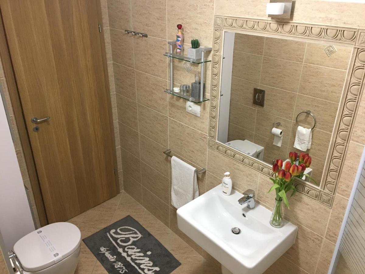 Elegantza Suites براشوف المظهر الخارجي الصورة